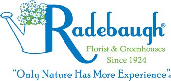 Radebaugh Flowers and Ice Logo